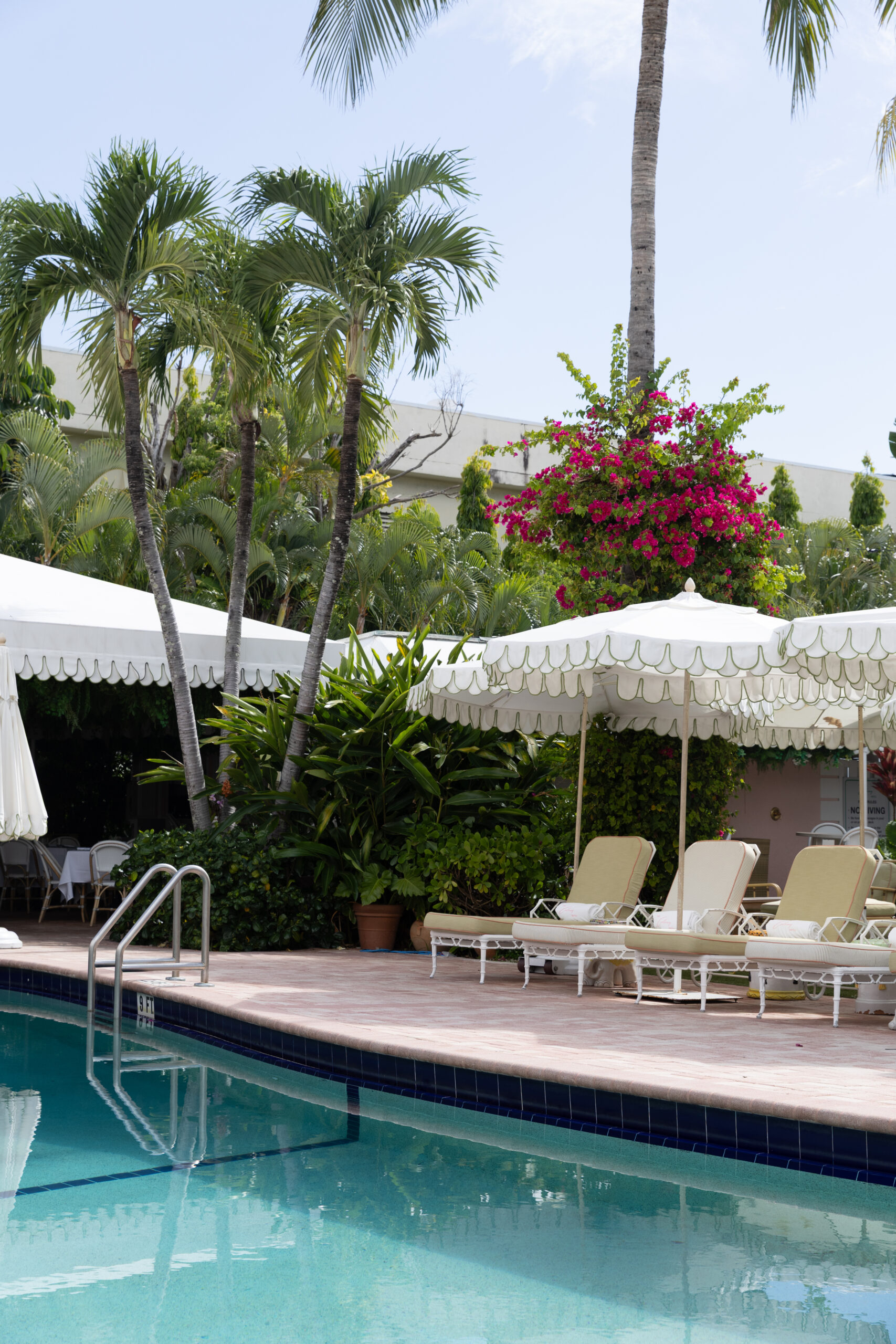 Poolside lounge chairs and bougainvillea