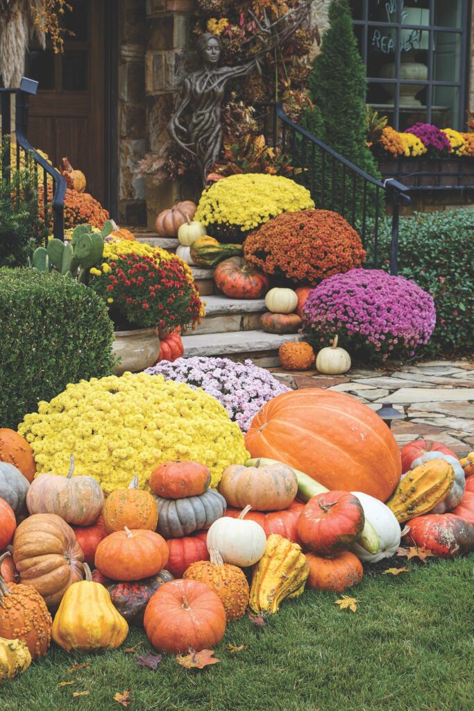 Yellow, lilac, and orange mums with oversize pumpkins and small gourds form a gradient along a stone walkway to the front door.