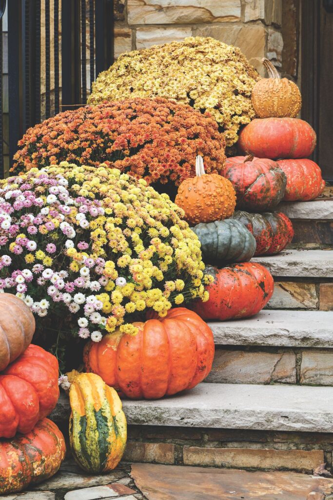 Stone front steps lined with gold, rust, lilac, and yellow mums alongside stacks of orange and green pumpkins.