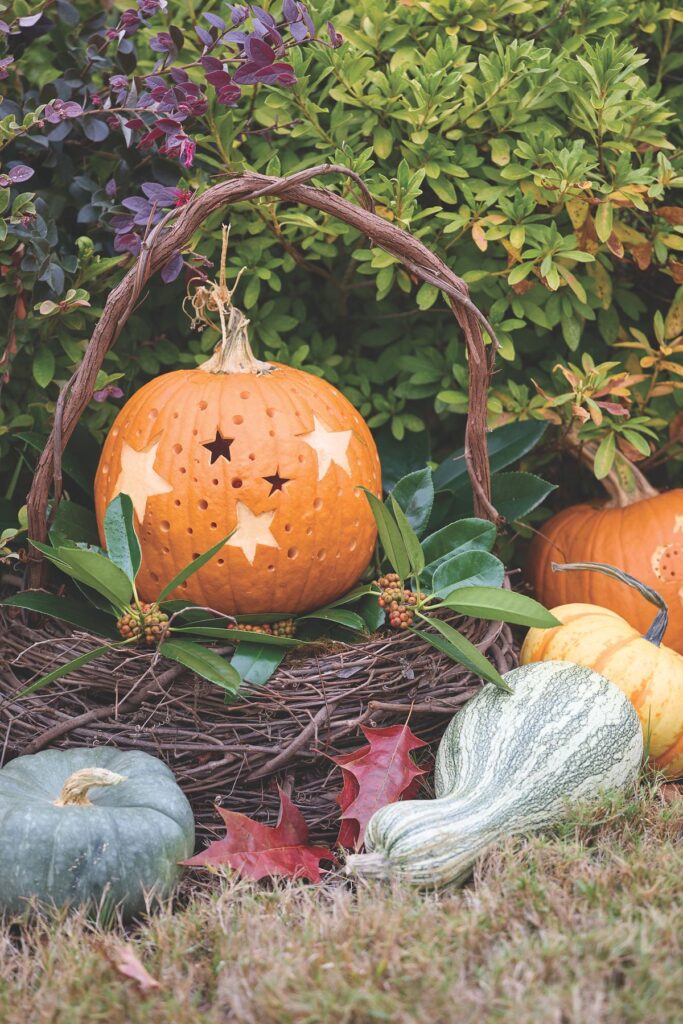 An orange pumpkin carved with star cutouts sits in a twig basket surrounded by blue and striped gourds.