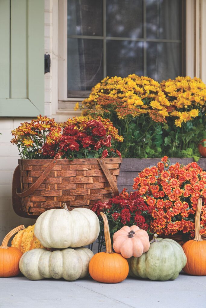 A woven basket filled with red and gold mums beside white, green, and orange heirloom pumpkins on a porch.